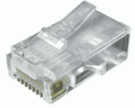 RJ45 male Cat5e